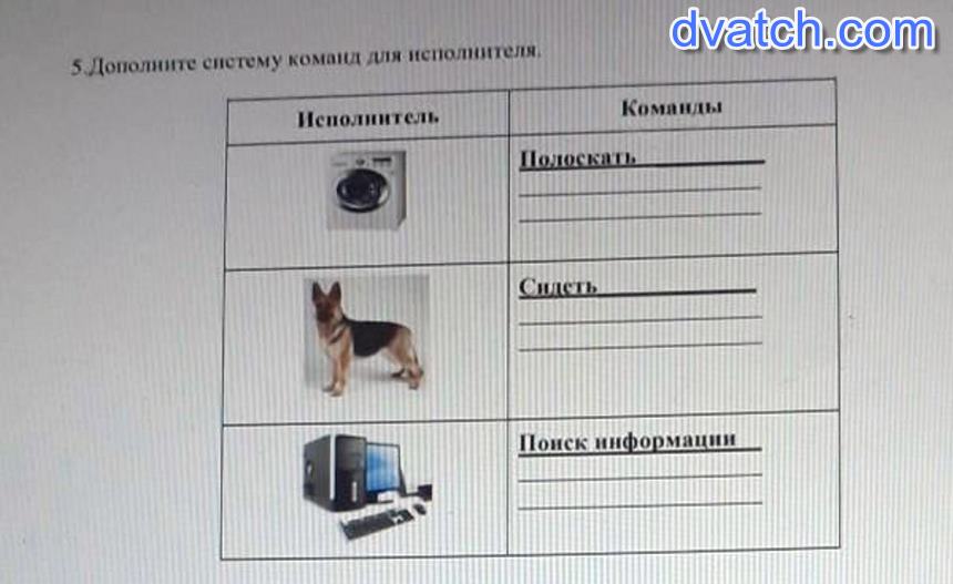 Система команд исполнителя конструктор. Система команд исполнителя лошади. Дополните систему команд исполнителя :1 плоская.