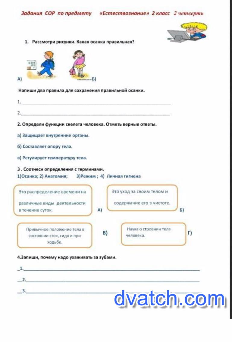 Сор 3 класс 2 четверть. Сор по естествознанию 2 класс 2 четверть Казахстан. Сор по естествознанию 3 класс 2 четверть. Сор по естествознанию 3 класс 2 четверть с ответами. Естествознание 2 класс.