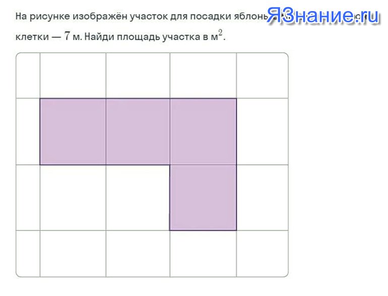 Клетка метр на метр. Квадратный метр рисунок. Заполни плитками площадь 1 метр в квадрате. Наименований масштаб 1 клетка 1 метр. Площадь 1 пластины 1 квадратный метр Перетащи.