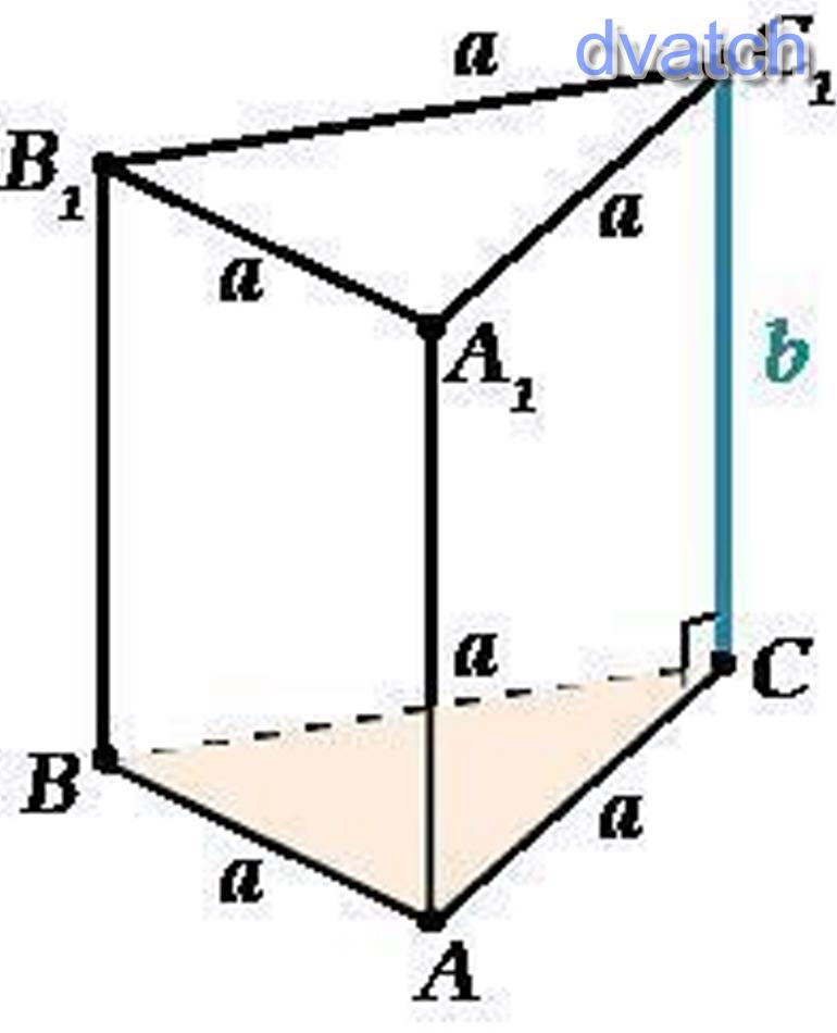 Прямая призма в основании прямоугольный треугольник рисунок. Ребро прямоугольной Призмы. Прямая Призма. Призма (основание со сторонами 45мм, высота 70мм),. Боковая грань правильной треугольной Призмы квадрат.