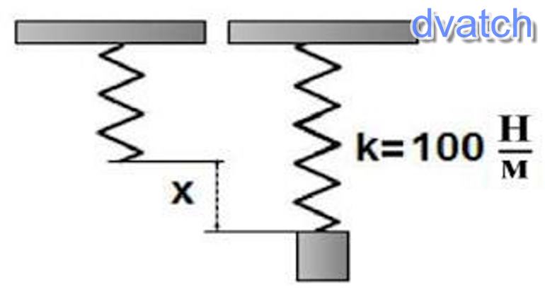Груз подвесили на упругую пружину жесткостью. Пружины накапливающие энергию.