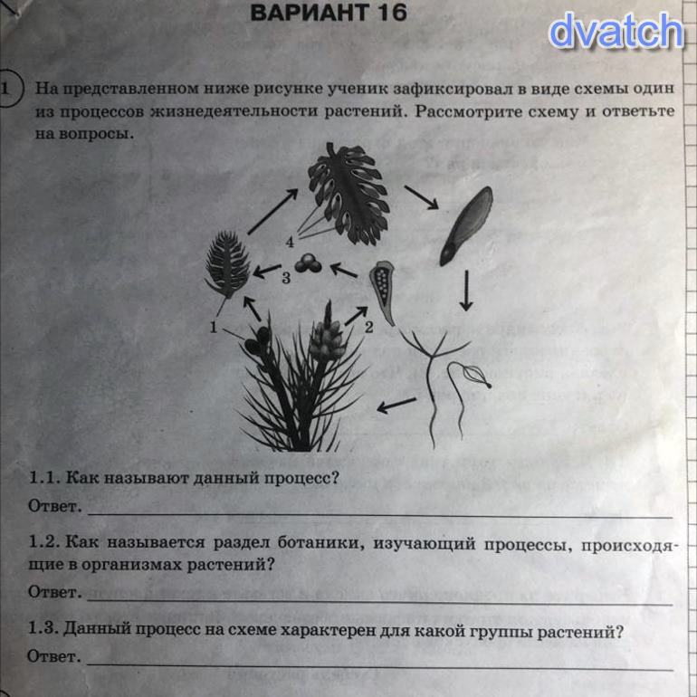 Рассмотрите изображение назовите. Процесс жизнедеятельности растений рассмотрите схему. Как называют данный процесс. Какая Ботаническая наука изучает данный процесс. Как называется данный процесс по биологии.