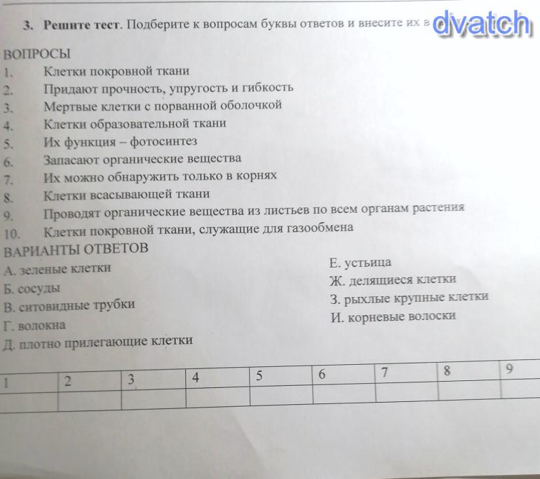 Решения тесты выборы. Ответы на тест с буквами. Тест для подбора имени для ребёнка. Тесты выберите особенности которые. Вопросы для игры запрещенная буква.