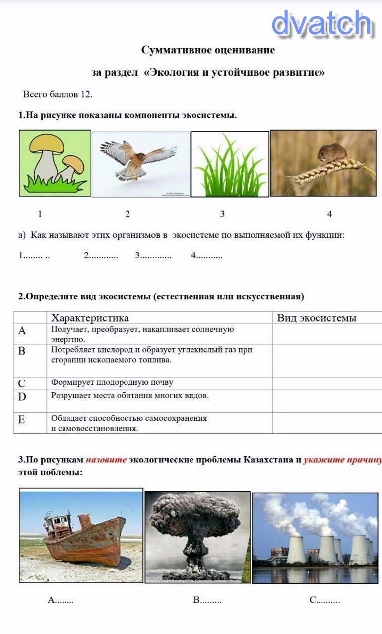 Естествознание 5 класс сор 2. Очень масштабная информация по естествознанию. Написать все ответы.