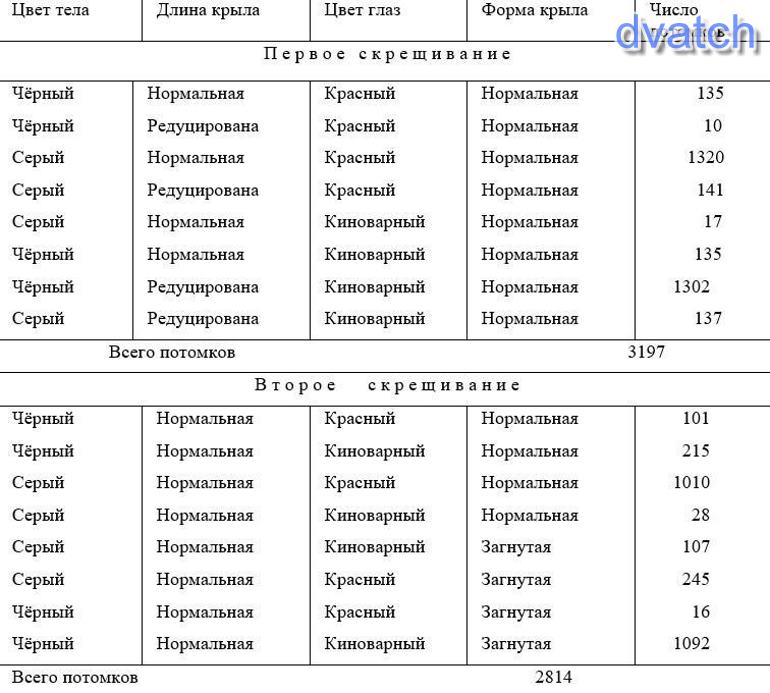 Киноварные глаза у дрозофилы