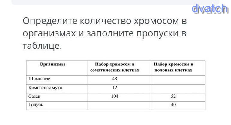Гаплоидный и диплоидный набор хромосом. Сколько половых клеток в соматических клетках. Гаплоидный и диплоидный набор хромосом митоз. Хромосомы у животных таблица. Виды хромосом.