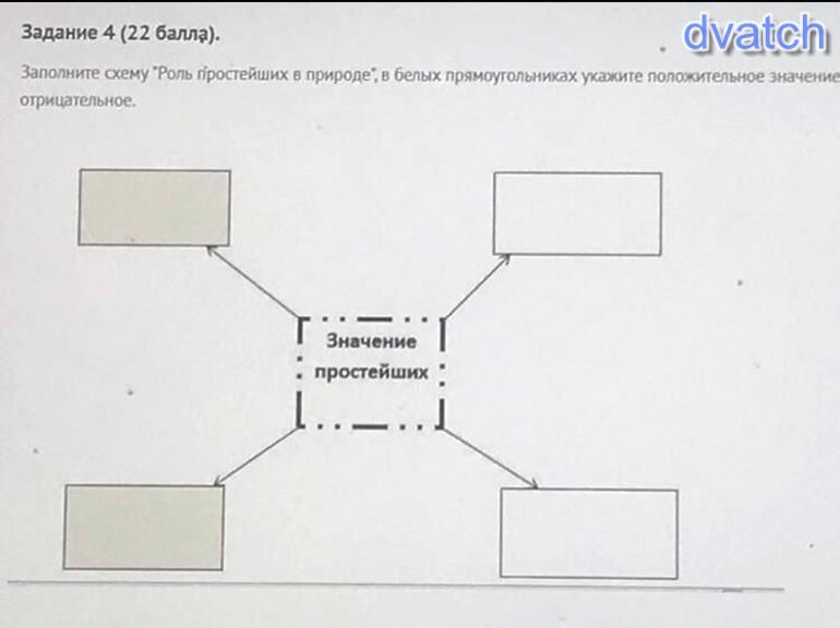 Заполните схему природа. Заполните схему выбрав правильный ответ. Практическое задание заполните схему сложного. Заполни схему животные простейшие. Заполните схему биология 5 класс.