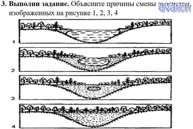 Объясните причины смены экосистем представленных на рисунке от а б в г