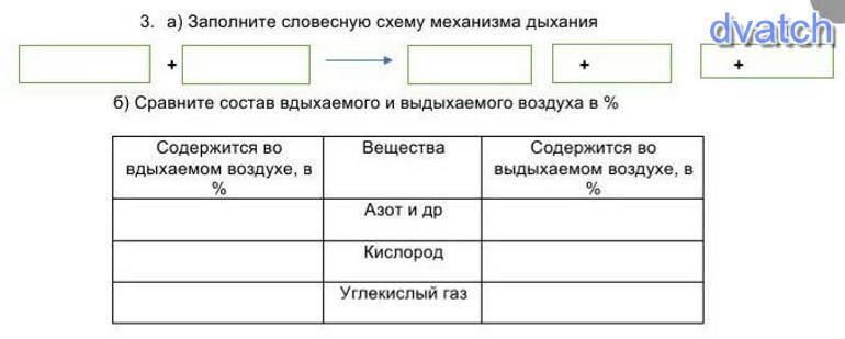 Словесная схема механизма дыхания