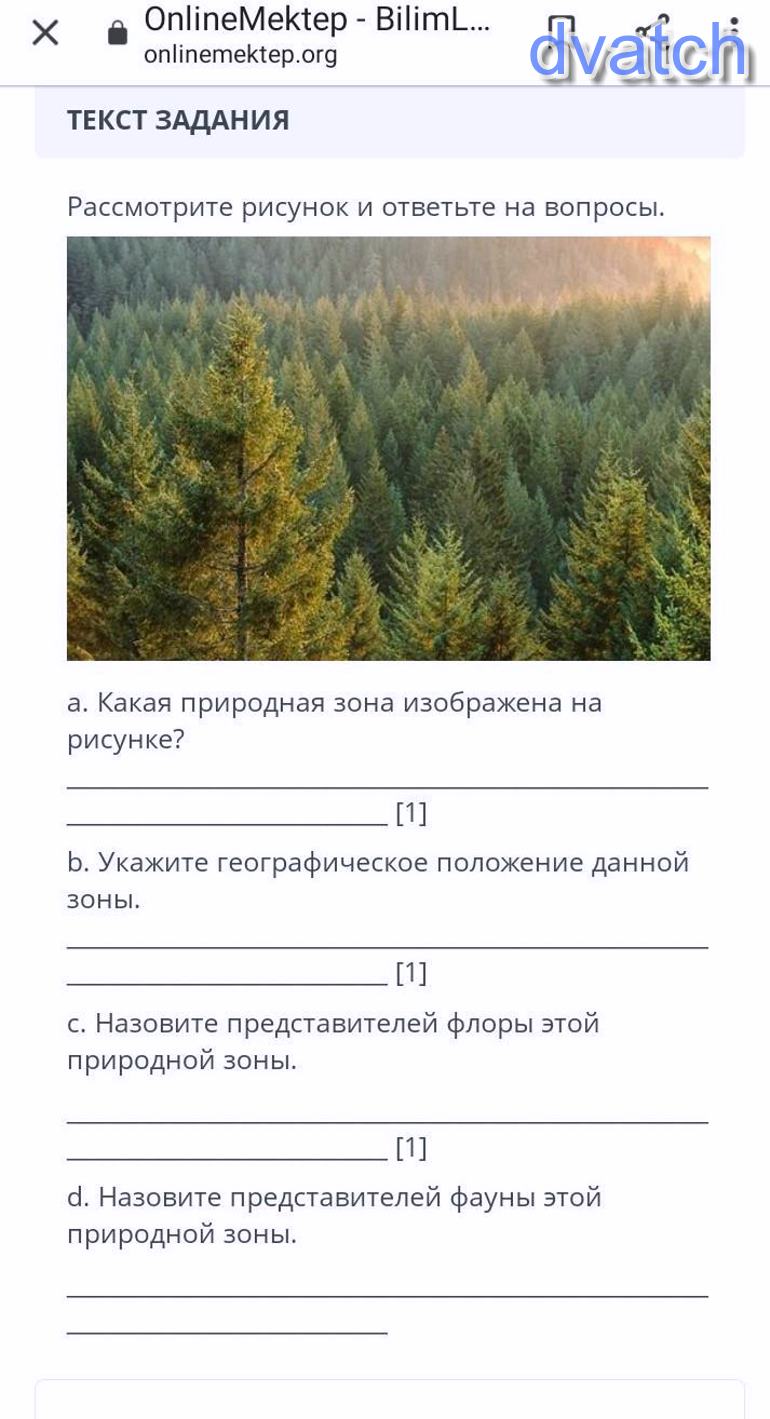 Какая природная зона изображена. Какая природная зона изображена на рисунке. География рассмотрите рисунок и ответьте на вопросы. Какая природная зона России изображена на рисунке?. Какая природная зона изображена на фото.