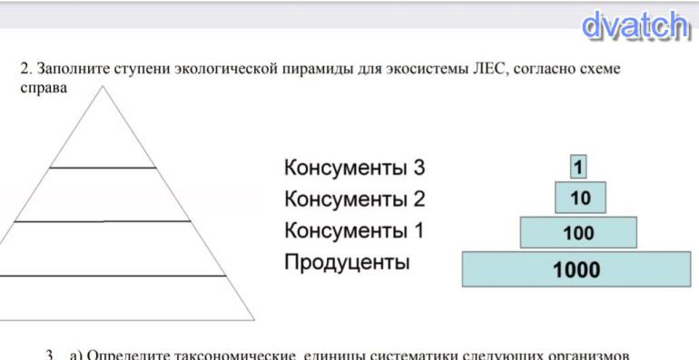 Изучите фрагмент экосистемы океана представленный на рисунке и выполните задания