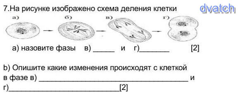 Гост 34 схема деления